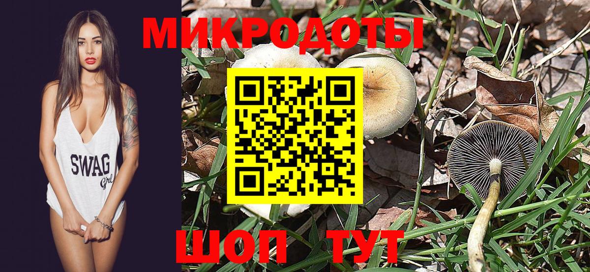 Галлюциногенные грибы мицелий Сатка